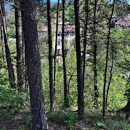 Auberge Du Bourguet Brenon Εξωτερικό φωτογραφία