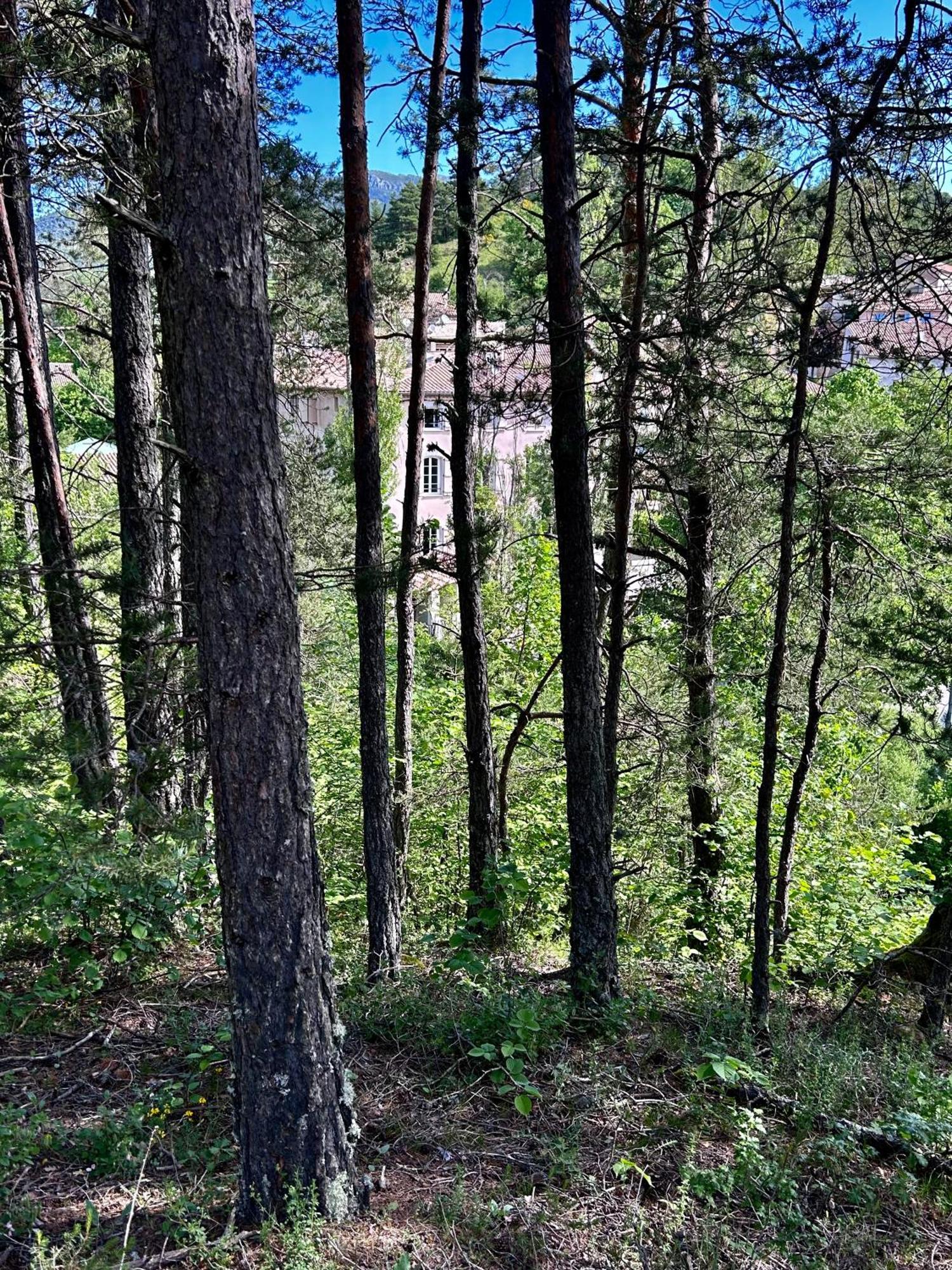 Auberge Du Bourguet Brenon Εξωτερικό φωτογραφία