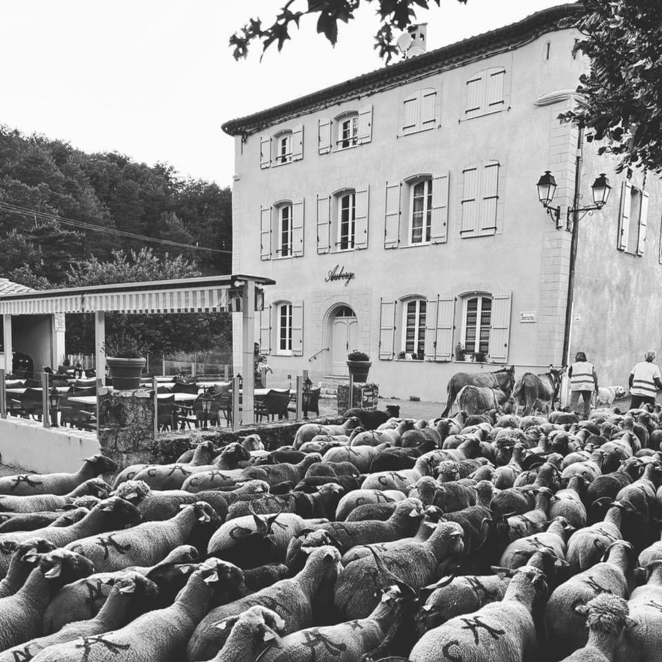Auberge Du Bourguet Brenon Εξωτερικό φωτογραφία